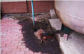 客戶安裝油氣分離器后反映油分跑油,應該怎么辦